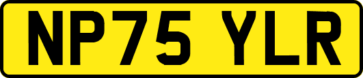 NP75YLR