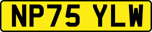 NP75YLW