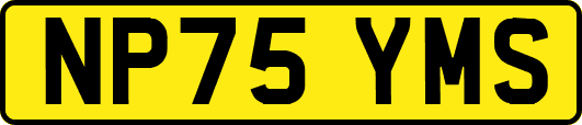 NP75YMS