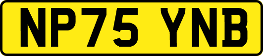 NP75YNB