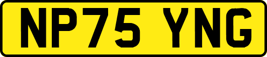 NP75YNG