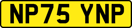NP75YNP