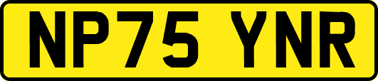 NP75YNR