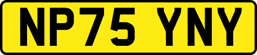 NP75YNY