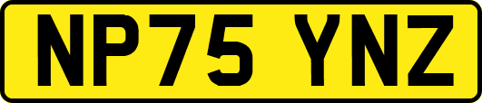 NP75YNZ