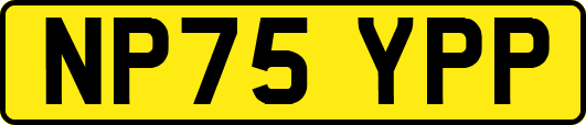 NP75YPP