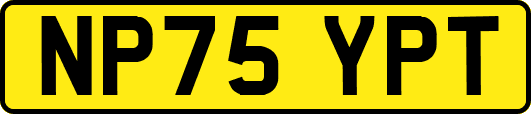 NP75YPT