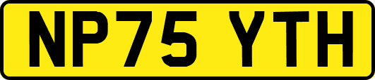 NP75YTH