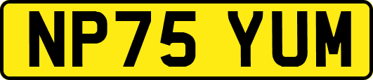 NP75YUM