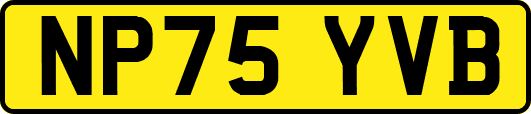 NP75YVB
