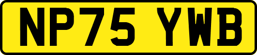 NP75YWB