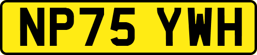 NP75YWH