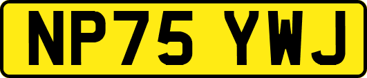 NP75YWJ