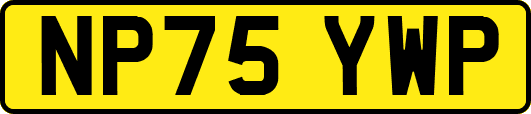 NP75YWP