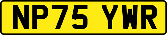 NP75YWR