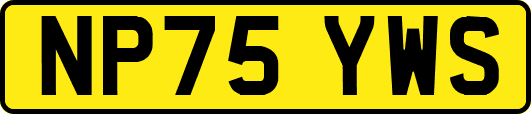 NP75YWS
