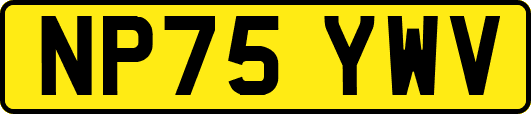 NP75YWV
