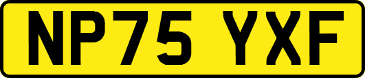 NP75YXF