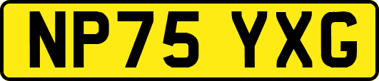 NP75YXG