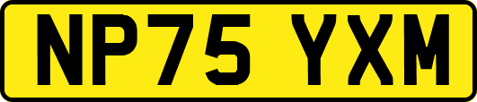 NP75YXM