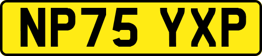NP75YXP