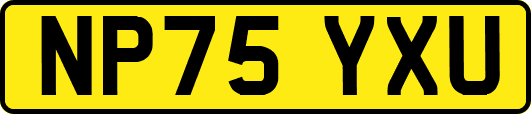 NP75YXU