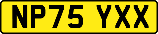 NP75YXX