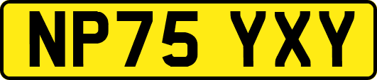 NP75YXY