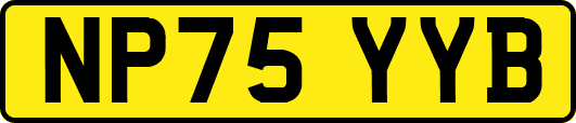 NP75YYB