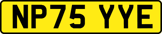 NP75YYE