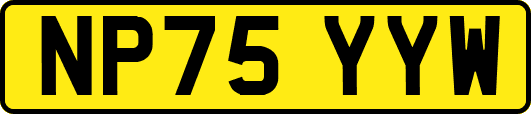 NP75YYW