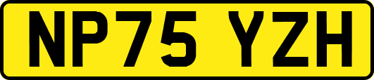 NP75YZH