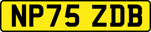 NP75ZDB