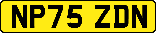 NP75ZDN