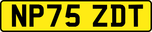 NP75ZDT