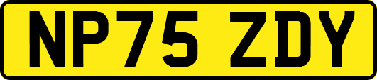 NP75ZDY