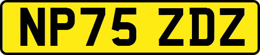NP75ZDZ