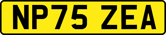 NP75ZEA