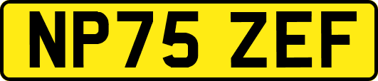 NP75ZEF