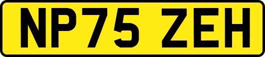 NP75ZEH
