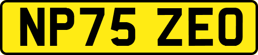 NP75ZEO
