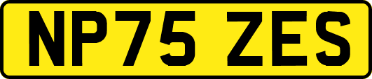 NP75ZES