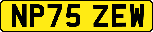 NP75ZEW