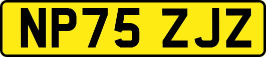 NP75ZJZ