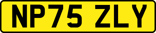 NP75ZLY