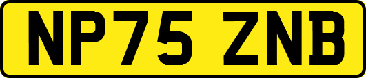 NP75ZNB