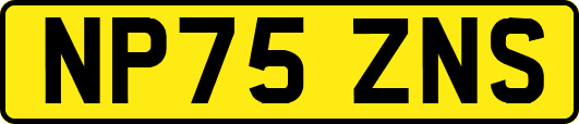 NP75ZNS
