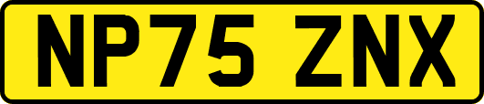 NP75ZNX
