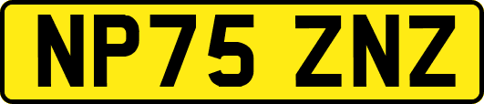 NP75ZNZ