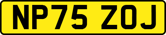 NP75ZOJ